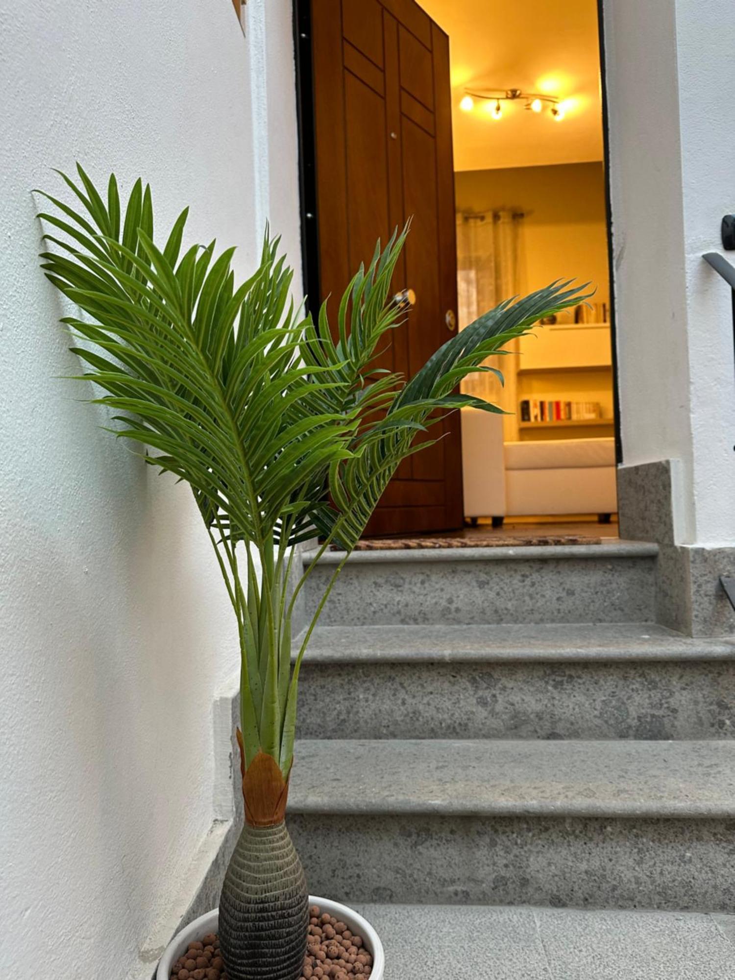 Guest House Palazzo Bussi فِتيربو المظهر الخارجي الصورة